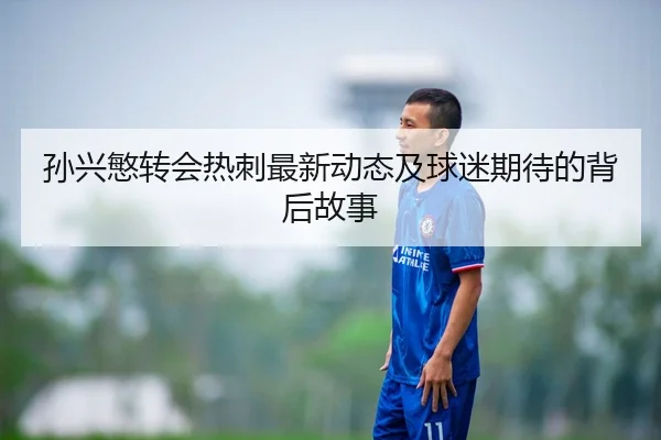 孙兴慜转会热刺最新动态及球迷期待的背后故事